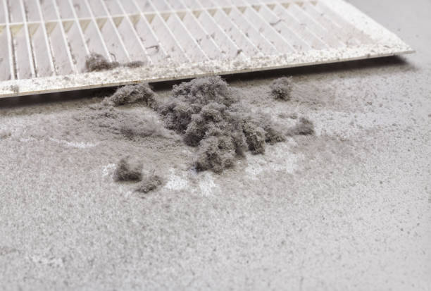 Best Air Duct Cleaning Near Me  in Chandler, AZ