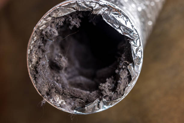 Best Emergency Air Duct Cleaning  in Chandler, AZ