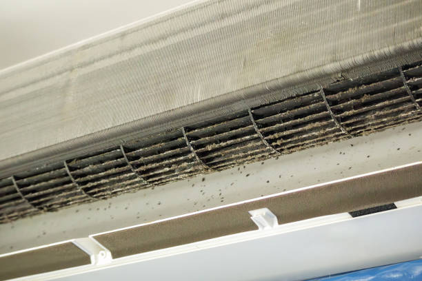 Best Air Quality Test  in Chandler, AZ